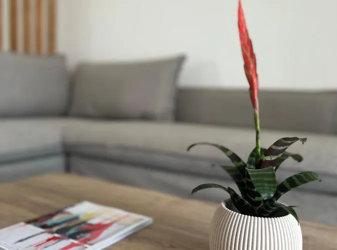 La Boheme Apartament *